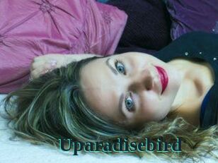 Uparadisebird