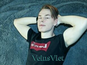 VeinsViet