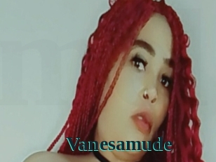 Vanesamude