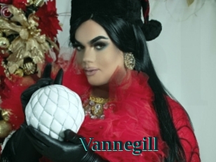 Vannegill