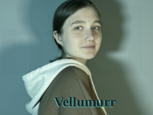 Vellumurr