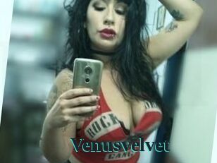 Venusvelvet