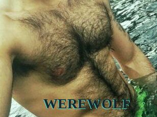 WEREWOLF