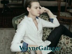 WayneGalager