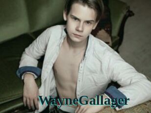 WayneGallager