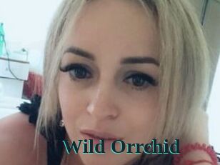 Wild_Orrchid