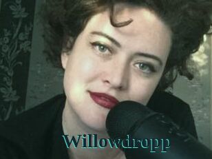 Willowdropp