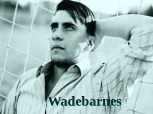 Wadebarnes