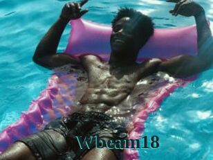 Wbeam18