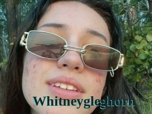 Whitneygleghorn