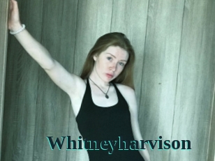 Whitneyharvison