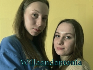 Willaandantonia