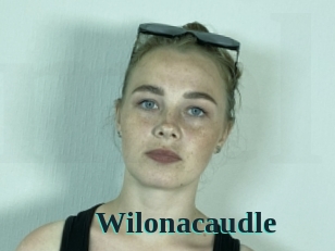 Wilonacaudle