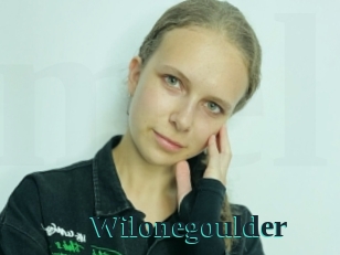 Wilonegoulder