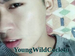 YoungWildCock4u