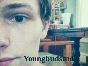 Youngbudstud