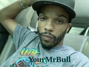 YourMrBull