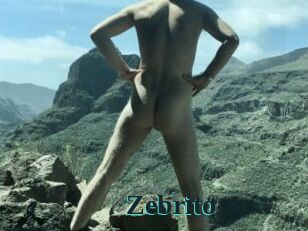 Zebrito